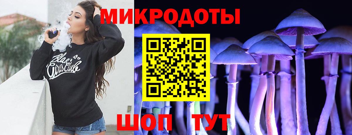 Галлюциногенные грибы мухоморы  Вход с VPN  Саранск  Псилоцибиновые грибы Psilocybe 
